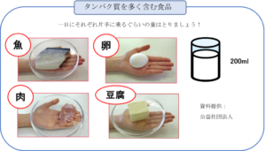 たんぱく質を多く含む食材